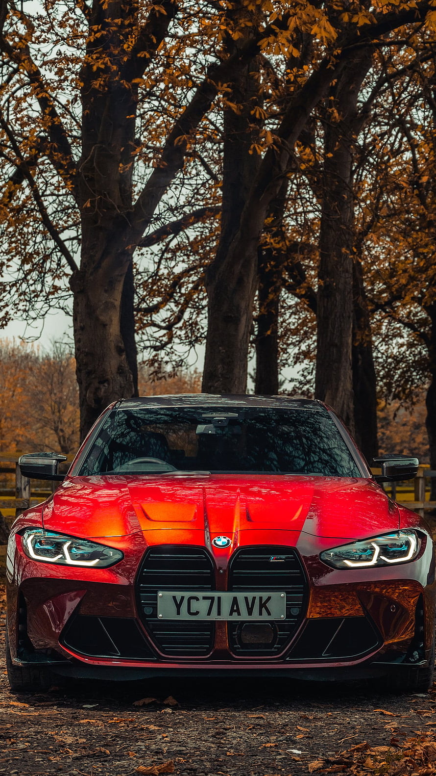Red BMW M4 Competition Coupe Parked Among Autumn Trees HD phone wallpaper