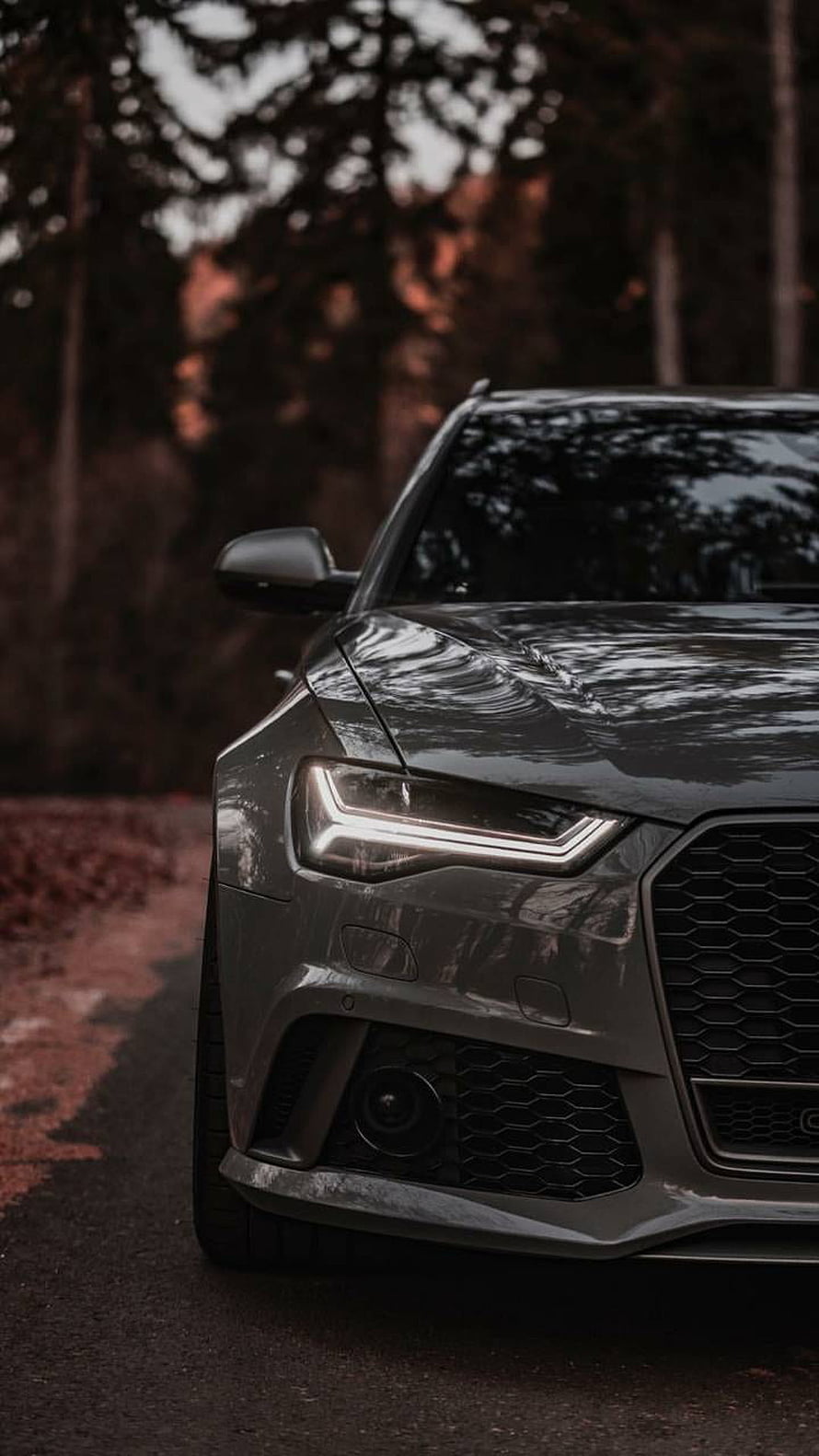 Audi RS6 Front Fascia Close-Up in Autumn Forest Setting HD phone wallpaper