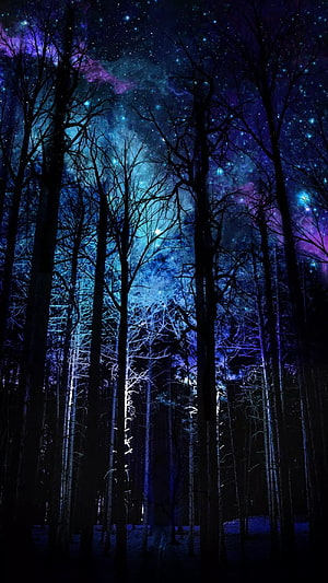 Mystical Night Forest with Starry Sky and Purple Nebula HD phone wallpaper