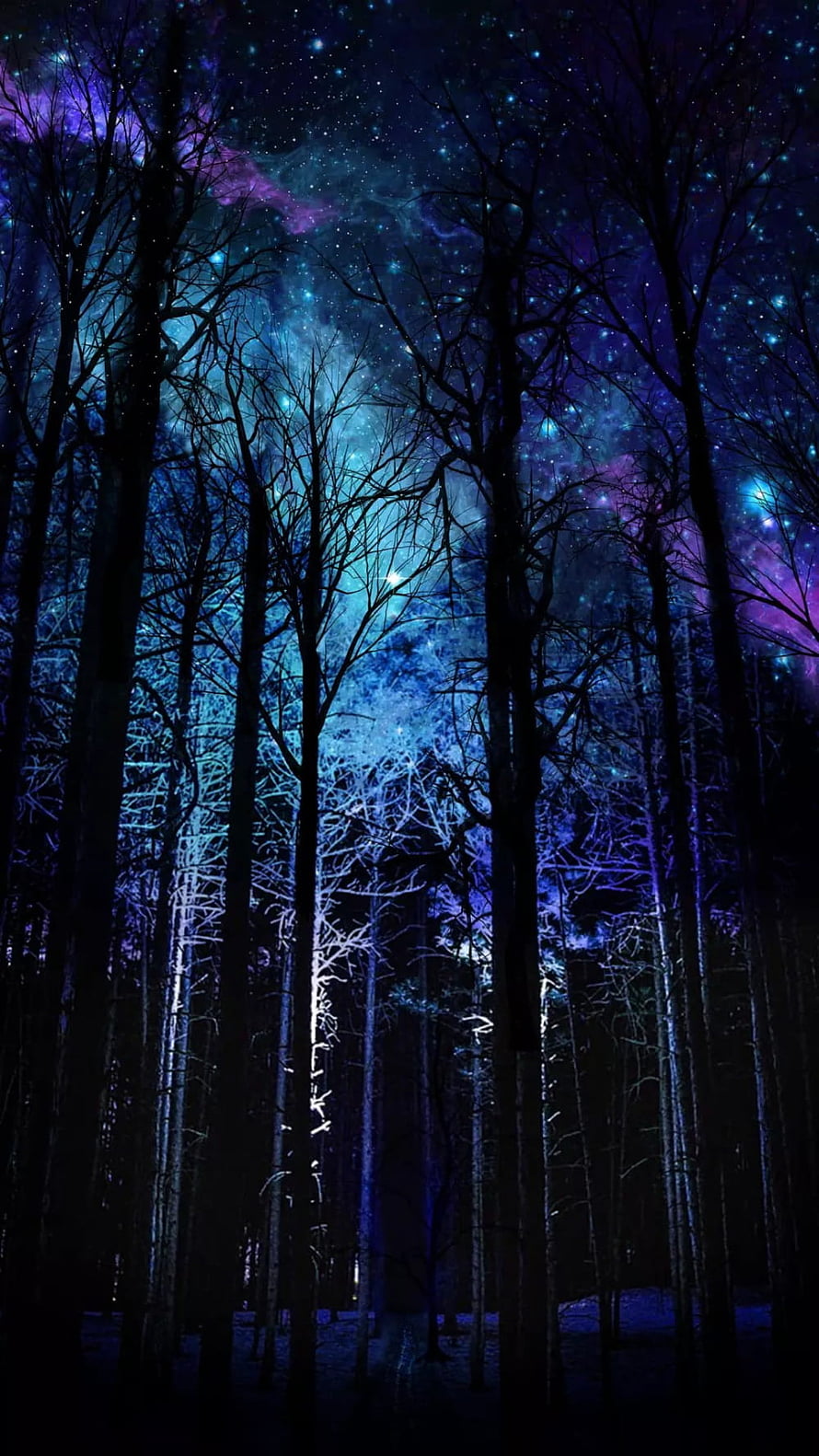 Mystical Night Forest with Starry Sky and Purple Nebula HD phone wallpaper
