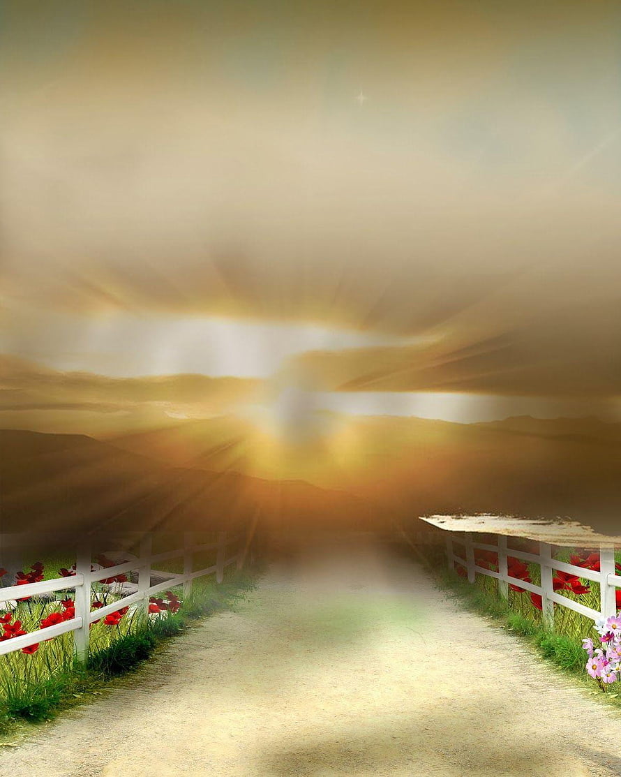 Sunlit Country Road With White Fence And Red Poppies HD phone wallpaper