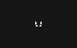 Minimalist White Cat Face Peeking From Dark Background Desktop Wallpaper HD wallpaper