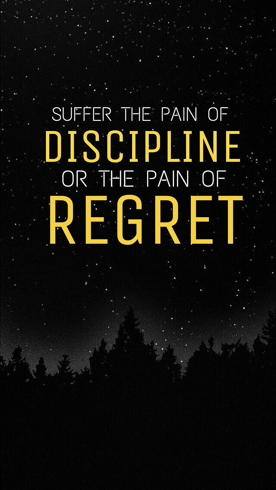 Motivational Quote About Discipline And Regret On Starry Night Sky Background HD phone wallpaper