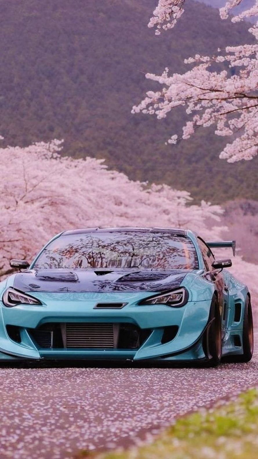 Turquoise Modified Toyota Supra Parked on a Road Lined with Cherry Blossoms HD phone wallpaper
