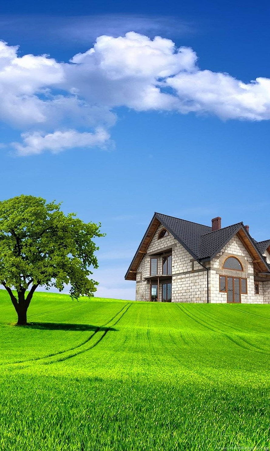Modern Stone House on a Lush Green Hill with a Large Tree and Blue Sky HD phone wallpaper