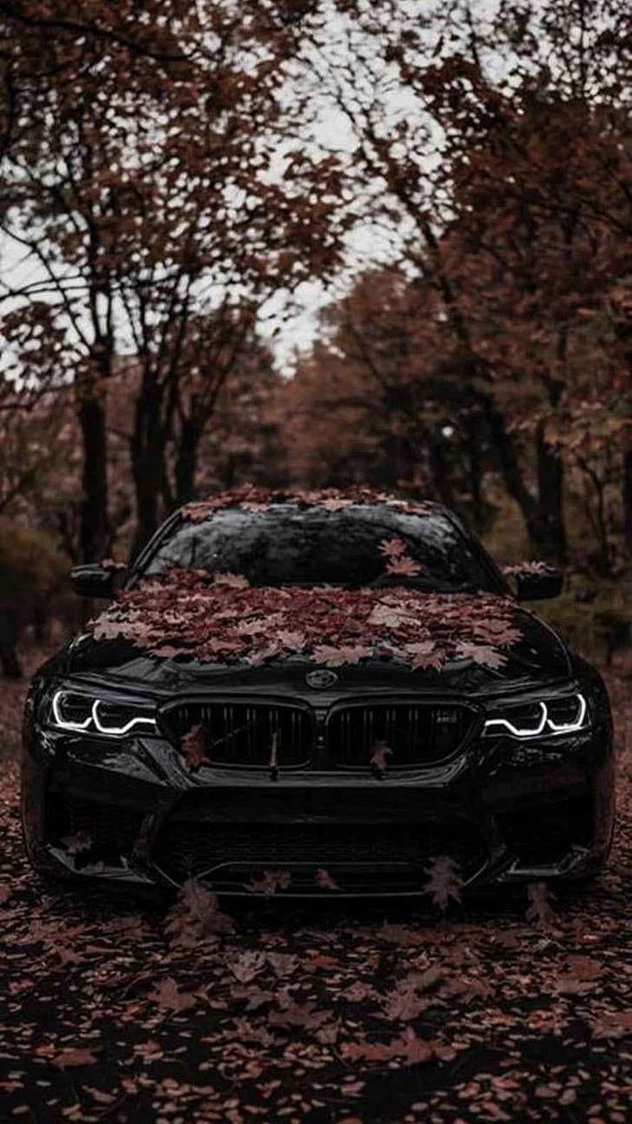 Black BMW M4 Covered in Red Autumn Leaves on a Forest Road HD phone wallpaper