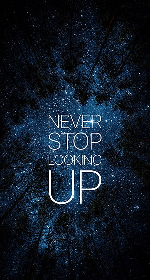 Inspirational Night Sky Quote Framed by Dark Forest Canopy HD phone wallpaper