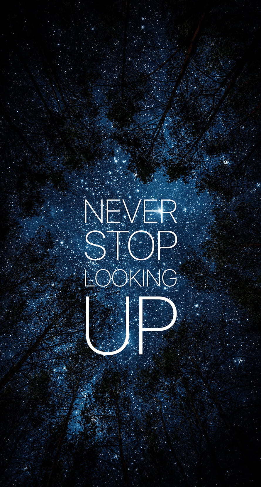 Inspirational Night Sky Quote Framed by Dark Forest Canopy HD phone wallpaper