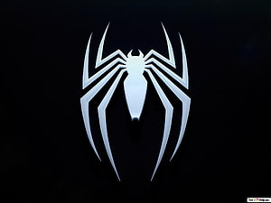 Spider-Man 2 White Spider Logo on Black Background, Marvel's Spider Man 2, the amazing spider man logo HD wallpaper