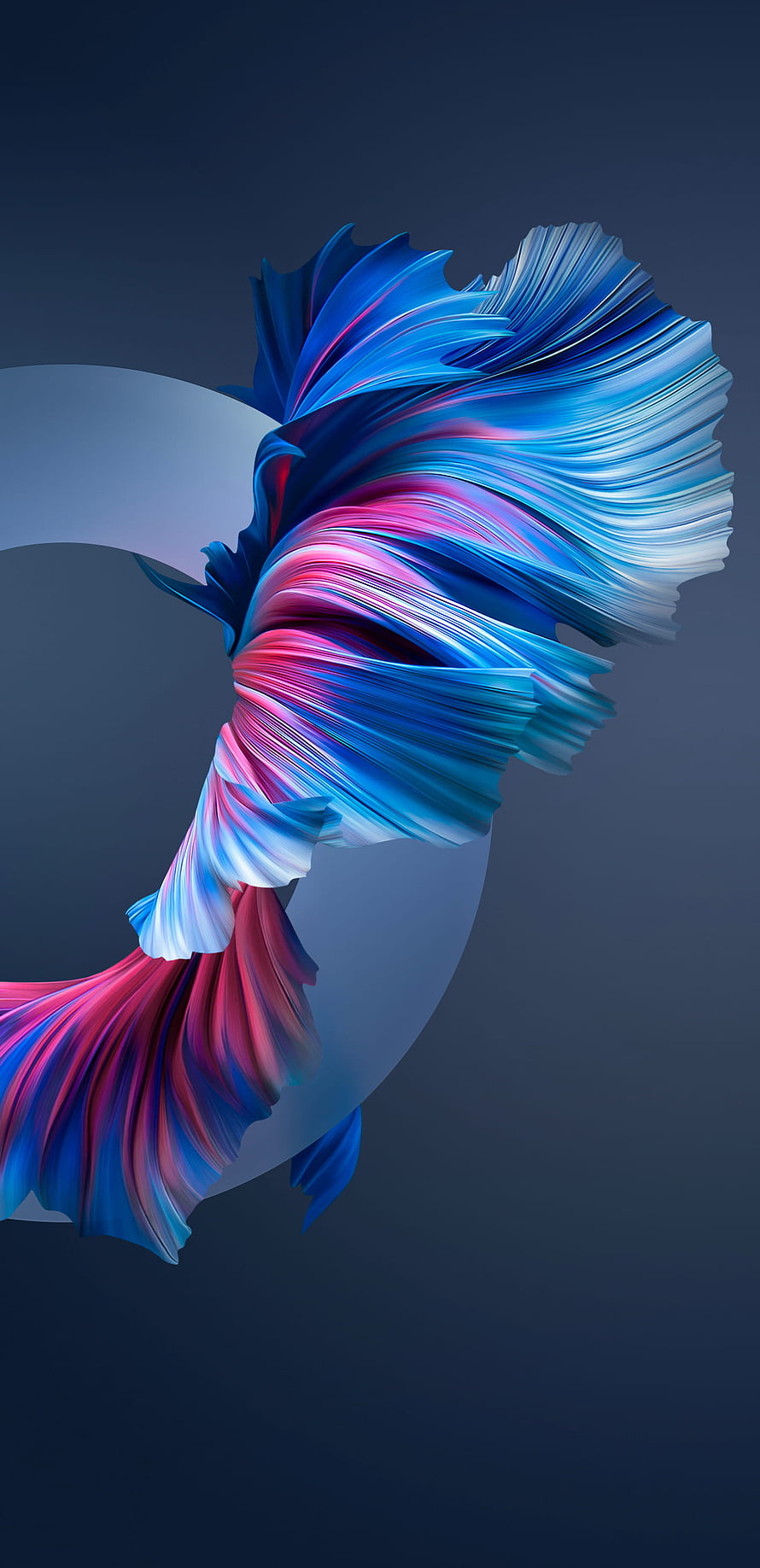 Abstract Blue and Pink Flowing Ribbons Digital Art Wallpaper HD phone wallpaper