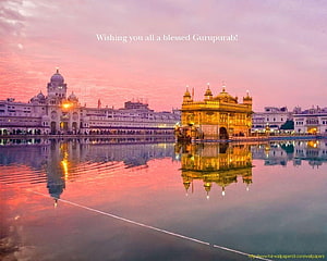 Golden Temple at Sunset with Reflection in the Sacred Pool HD wallpaper