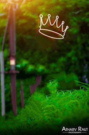 Glowing Neon Crown Outline Floating Above Lush Green Forest Foliage HD phone wallpaper