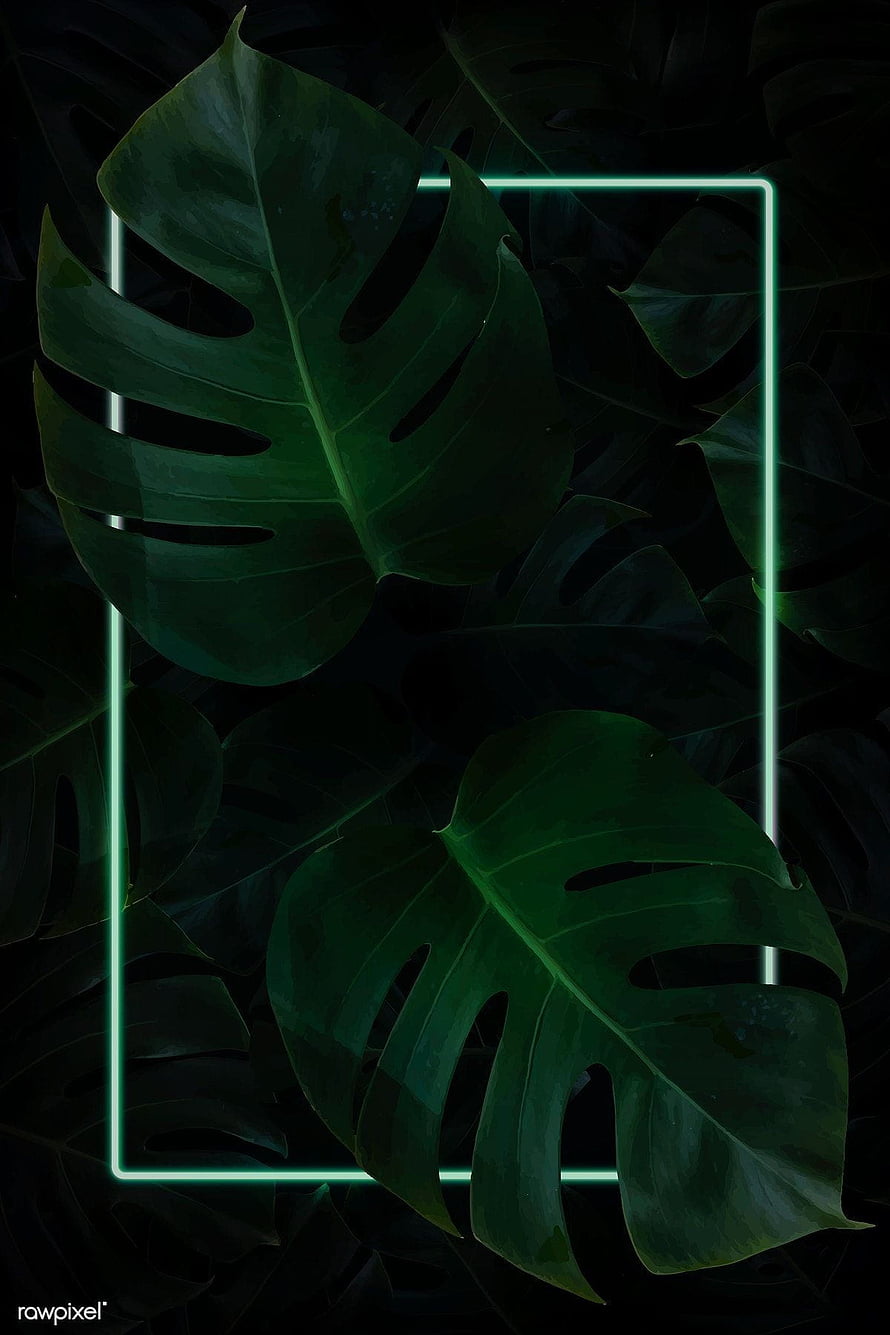 Dark Monstera Leaves with Glowing Green Neon Rectangle Frame HD phone wallpaper