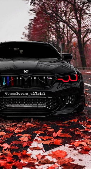 Black BMW M5 Front View on Autumn Road with Red Leaves and Dramatic Lighting HD phone wallpaper
