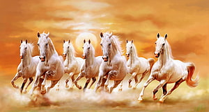 Seven White Horses Galloping Together in a Golden Sunset Landscape HD wallpaper
