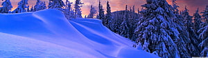 Serene Winter Landscape With Snowy Pine Trees And Pink Sunset Sky HD wallpaper