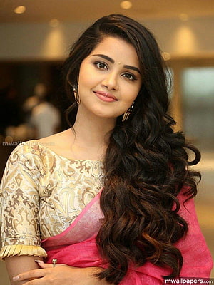 Anupama Parameswaran in a pink sari with a gold embroidered blouse and long wavy hair HD phone wallpaper