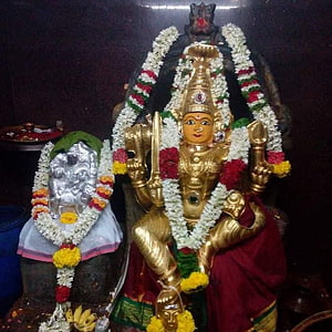 Angalamman Temple Deity with Flower Garlands and Silver Nandi Statue, SL angalamman song, #angalamman HD phone wallpaper