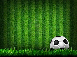 Classic Soccer Ball Resting on Vibrant Green Pitch Grass HD wallpaper