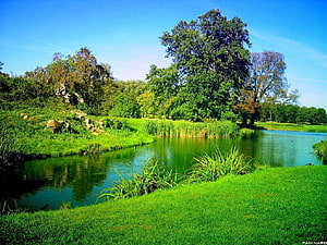 Serene Green Park Landscape With Calm Pond And Lush Trees HD wallpaper