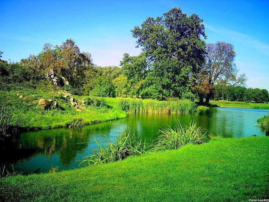 Serene Green Park Landscape With Calm Pond And Lush Trees HD wallpaper