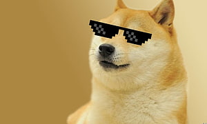 Cheems Doge Meme with Pixelated Sunglasses on Beige Background HD wallpaper