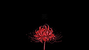 Glowing Red Spider Lily on Black Background with Japanese Kanji Character HD wallpaper