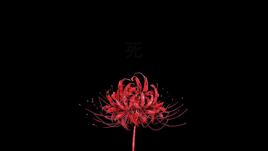 Glowing Red Spider Lily on Black Background with Japanese Kanji Character HD wallpaper