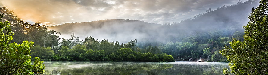Misty Forest Lake at Sunrise with Sunbeams Through Clouds HD wallpaper