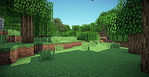 Minecraft Forest Biome Landscape Wallpaper HD wallpaper