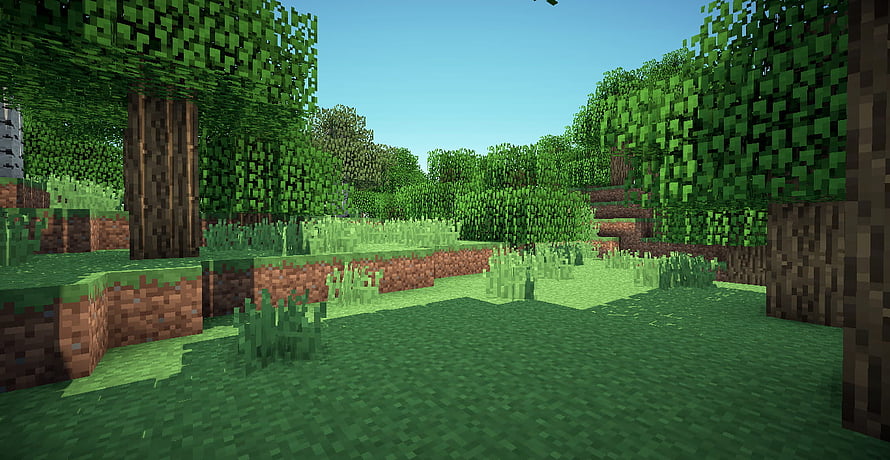 Minecraft Forest Biome Landscape Wallpaper HD wallpaper