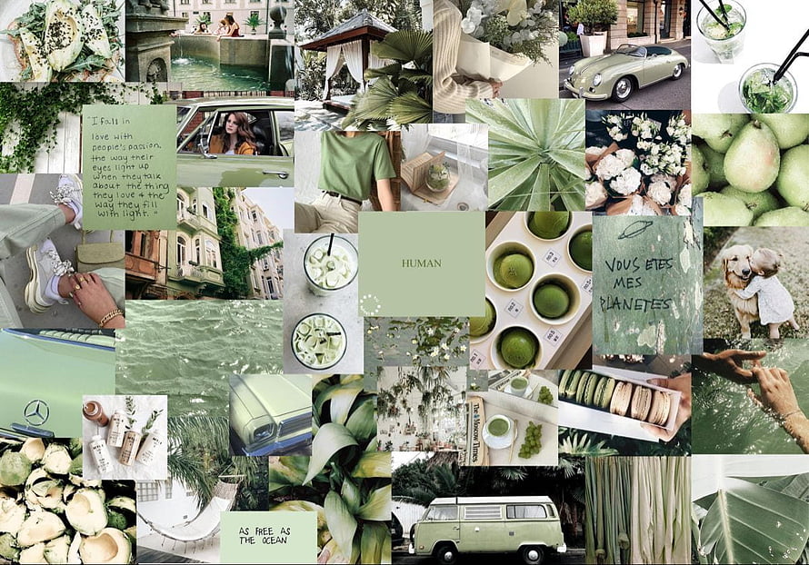 Sage Green Aesthetic Collage Featuring Matcha, Nature, and Vintage Cars HD wallpaper