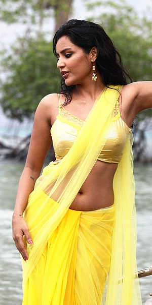 Sneha in a stunning yellow saree with a golden blouse, posing gracefully by the water HD phone wallpaper