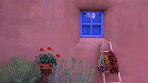 Vibrant Blue Window on Pink Adobe Wall with Potted Geraniums and Dried Chilies HD wallpaper