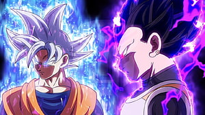 Goku Ultra Instinct and Vegeta Super Saiyan Blue Evolution Dragon Ball Super Anime Wallpaper HD wallpaper