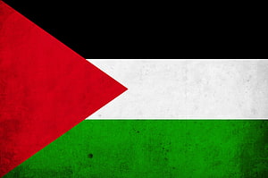 Grungy Palestinian Flag Wallpaper With Distressed Texture And Vintage Style HD wallpaper