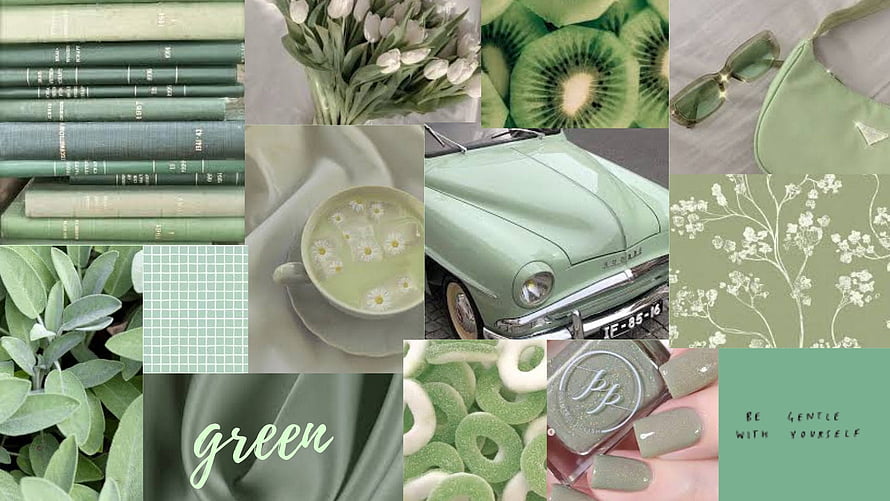Green Aesthetic Mood Board Featuring Vintage Car, Books, Kiwi, and Nature HD wallpaper