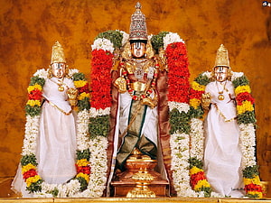 Lord Venkateswara with Goddess SriDevi and Goddess BhuDevi adorned in temple garlands HD wallpaper