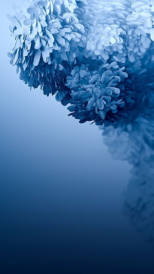 Abstract Blue Floral Gradient Wallpaper HD phone wallpaper