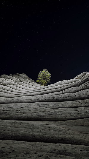 Lone Tree on Layered Rock Formations Under a Starry Night Sky HD phone wallpaper