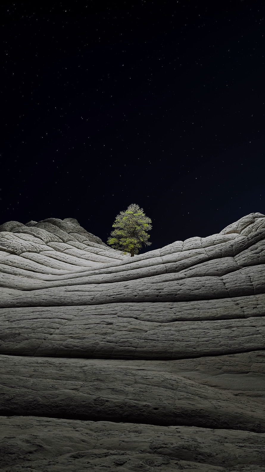 Lone Tree on Layered Rock Formations Under a Starry Night Sky HD phone wallpaper