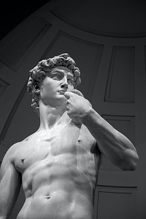 Black and White Close-Up of Michelangelo's David Statue Head and Torso HD phone wallpaper