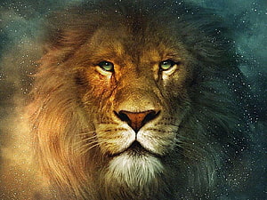 Majestic Lion Portrait with Dramatic Starry Background and Intense Green Eyes HD wallpaper