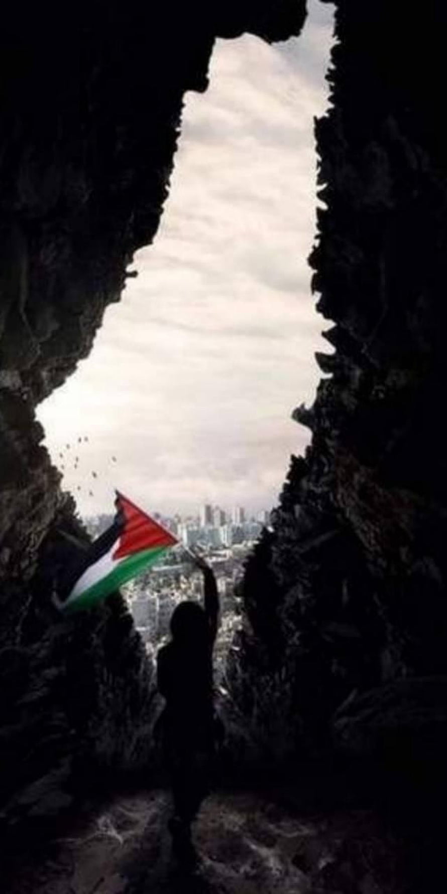 Silhouette of a person holding a Palestinian flag in a rocky cave overlooking a city skyline HD phone wallpaper