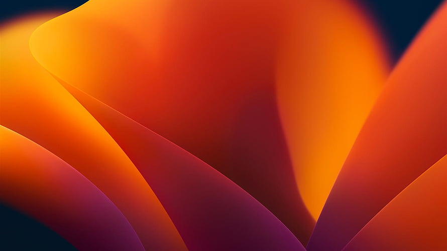 Abstract Flowing Gradient Waves in Warm Orange and Deep Purple Tones HD wallpaper