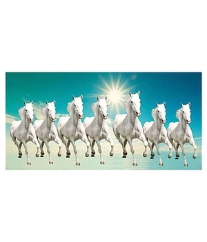 Seven White Horses Galloping Together Under Bright Sun HD phone wallpaper