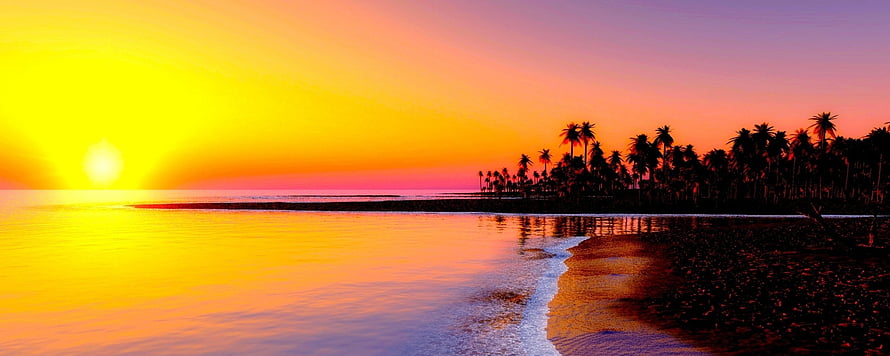 Tropical Beach Sunset with Silhouetted Palm Trees and Vibrant Orange Sky HD wallpaper