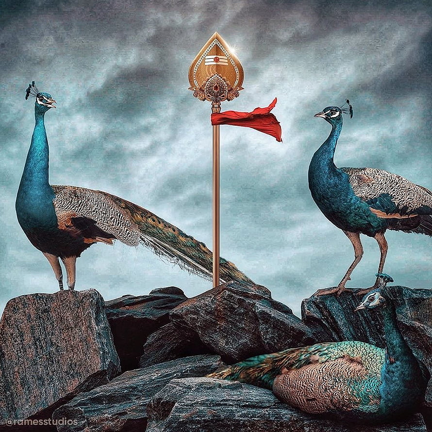 Lord Shiva Trishul with Peacocks on Rocks HD phone wallpaper