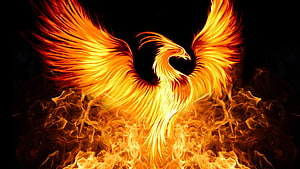 Majestic Fire Phoenix Rising From Flames With Spread Wings HD wallpaper