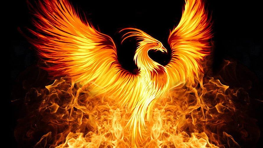 Majestic Fire Phoenix Rising From Flames With Spread Wings HD wallpaper